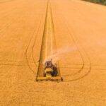 П’ять країн ЄС хочуть продовжити заборону на імпорт зерна з України. У МЗС відреагували