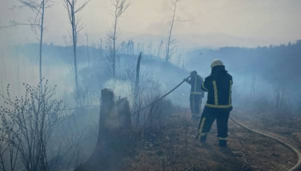 За три місяці в Україні сталося вдвічі більше пожеж в екосистемах ніж роком раніше – ДСНС