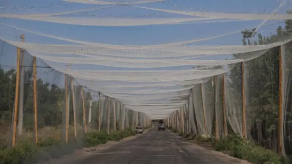 Протидронові сітки над дорогою поблизу Костянтинівки