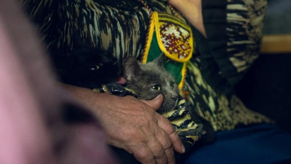 Наразі евакуацію населення з одеських громад через російські атаки не передбачено, – віцепрем’єр.