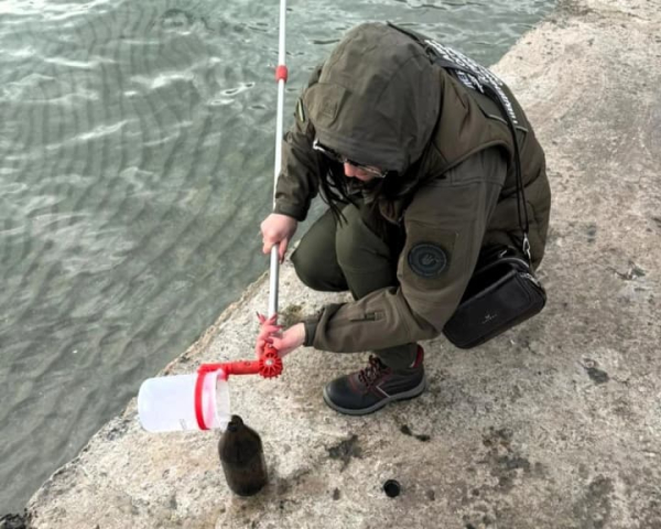 Забруднення Чорного моря олією після атаки рф може тривати роками - Greenpeace Україна