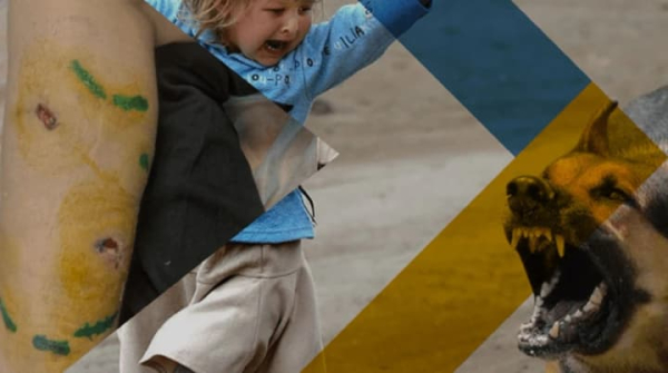 Окупований Маріуполь накрила хвиля нападів бродячих собак - ЦНС