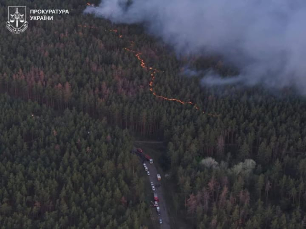 Чоловік отримав підозру за масштабну природну пожежу на сотнях гектарів на Харківщині через недопалок