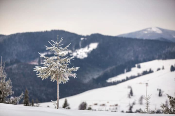 Морози не відступають: 13 січня до -20°, ожеледиця та сніг на заході