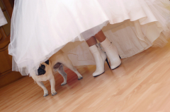 (Без)тлумачні правила справжнього журналіста і не тільки:&hellip;