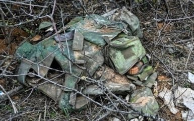 На Покровському напрямку за добу Сили оборони знищили 46 окупантів.