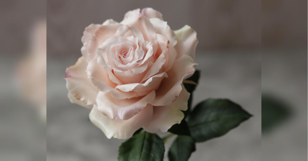 “Через монітор відчувається запах моїх квітів”, – розповідає керамістка-флористка Юлія Олійник.