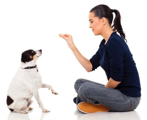 Як із задоволенням і з радістю встигати&hellip;