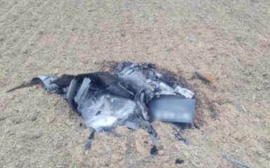 В Румунії виявили частини російських дронів поблизу українського кордону