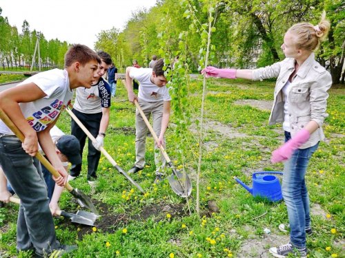 Робота на літо. Каторга чи незалежність?