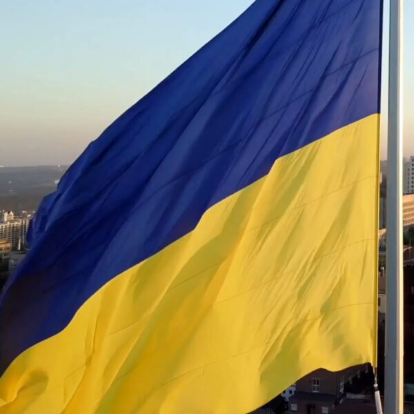 Smart суверенітет: дипломат пояснив, як державі успішно існувати у світі, де стільки обмежень