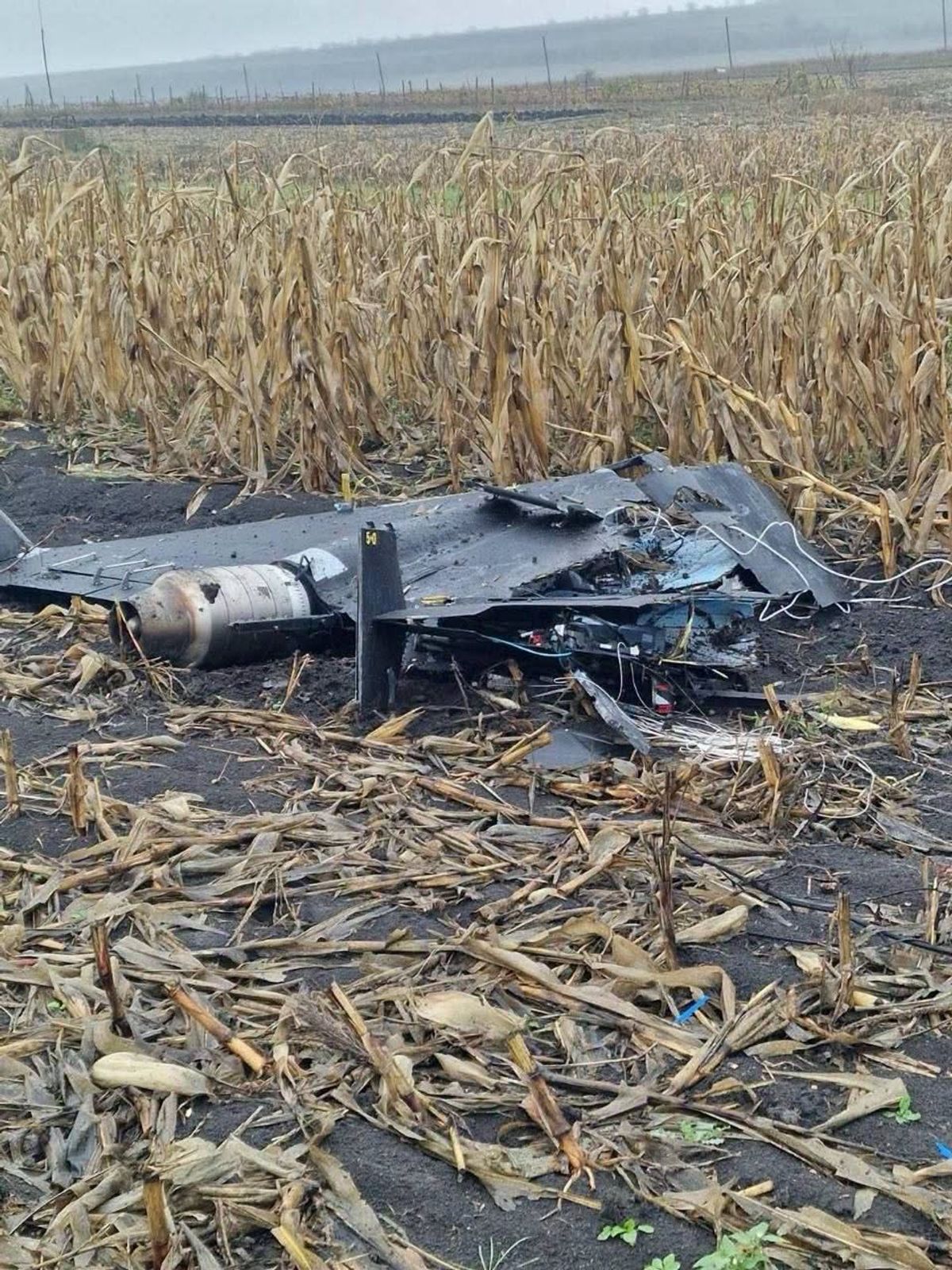 Молдова висилає російського дипломата після того, як російський дрон «Герань» впав біля будинків місцевих жителів